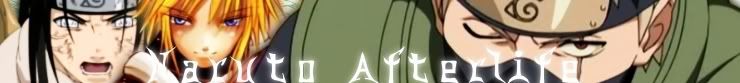 Naruto Afterlife v2