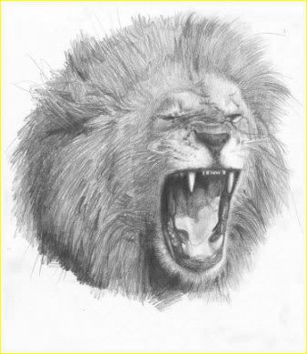 lion roaring picture