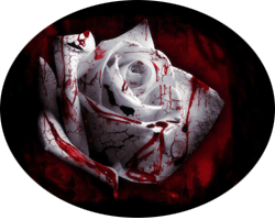 gothic%20rose%20wallpaper%20-%20www.wallpaperjug_zps14vheona.png