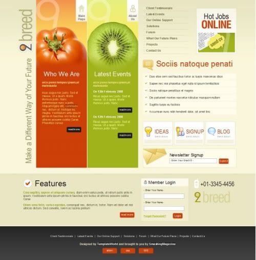 website template