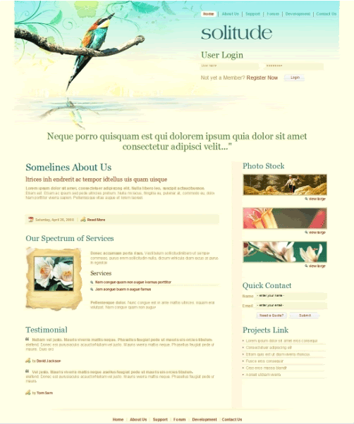 website template