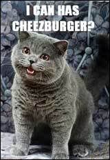 i_can_has_cheezburger.jpg