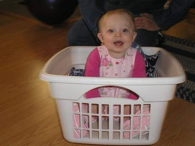 3a66.jpg There's just something about laundry baskets image by mkmcmillan827