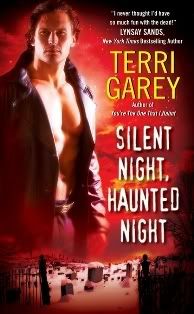 Silent Night, Haunted Night by Terri Garey