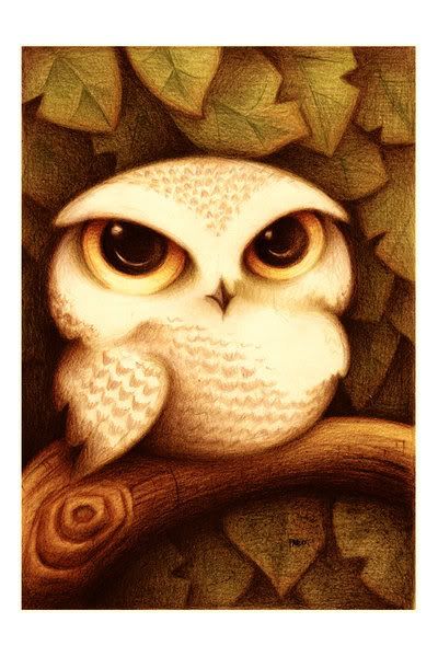 Cute Cartoon Animals Wallpaper on Cute Owl Graphics Code   Cute Owl Comments   Pictures