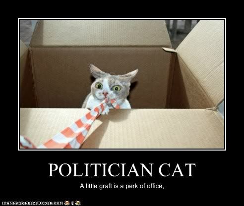 Politician Cat Pictures, Images and Photos