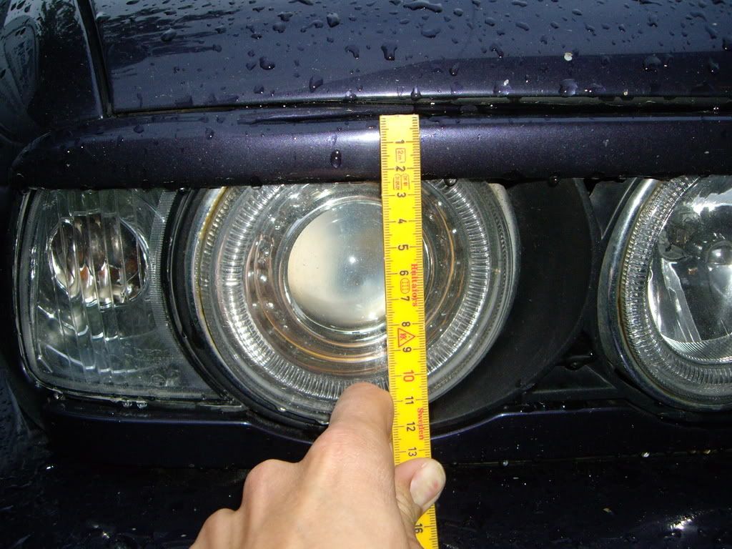 IMGP0908-1.jpg