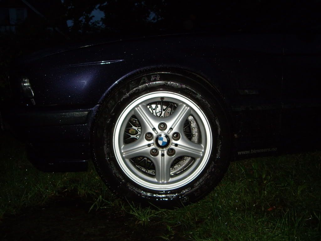 IMGP1325.jpg