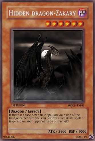 hiddenzak-1.jpg