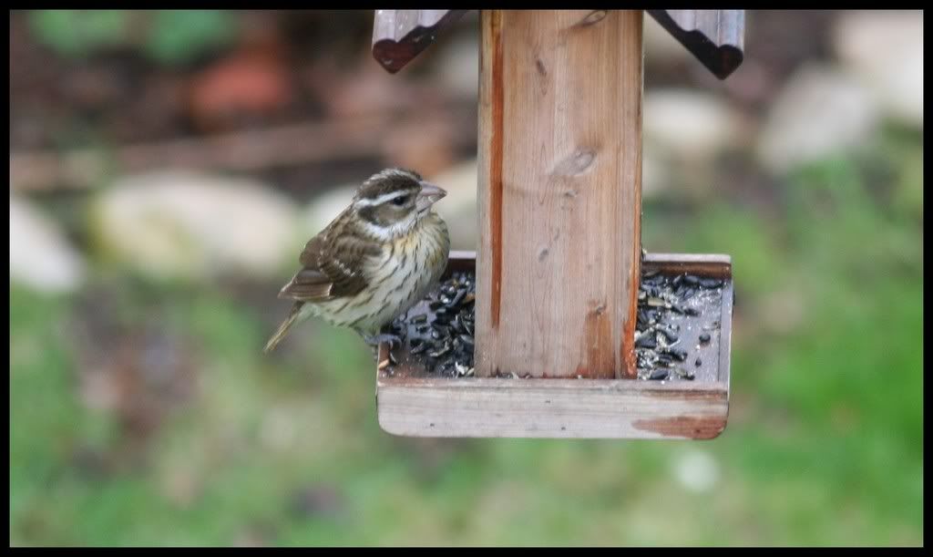 IMAGE: http://i175.photobucket.com/albums/w129/EVOL_1/Xxxxxxxxxxx.jpg