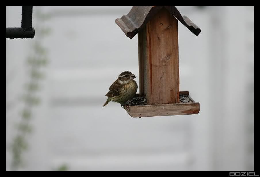 IMAGE: http://i175.photobucket.com/albums/w129/EVOL_1/xxxxxx.jpg