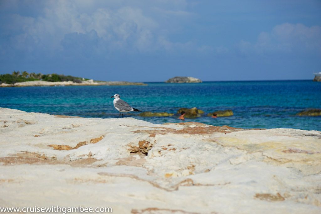 Great Stirrup Cay