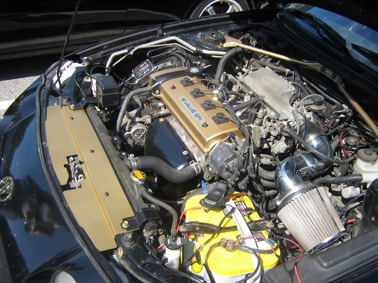 IPB Image