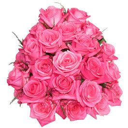 http://i175.photobucket.com/albums/w131/visevisa/pink-roses.jpg