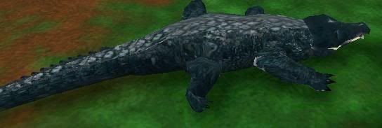 dwarfcroc.jpg