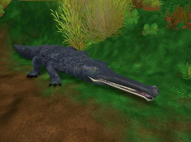 gharial.jpg