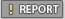 p_report.gif