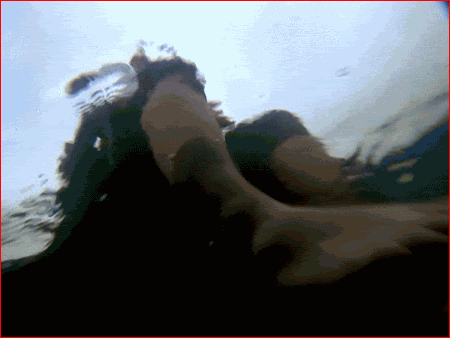 piranha5.gif