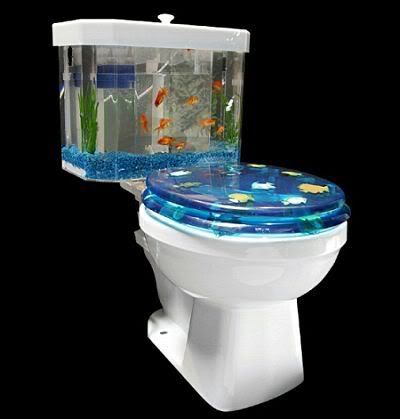 fish20n20flush.jpg