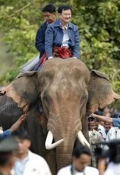 goodluckpachyderm.jpg