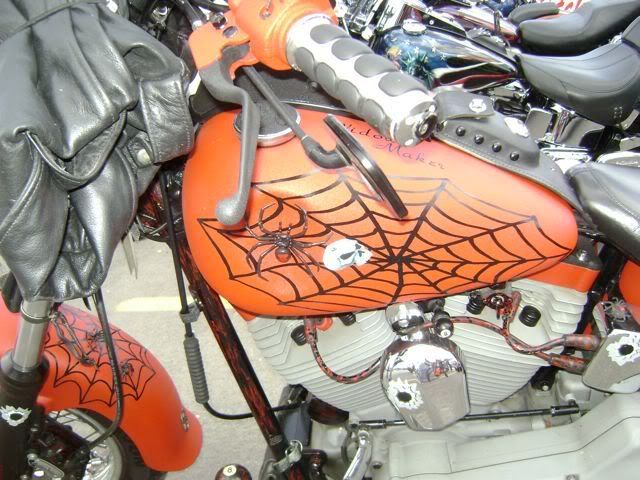 DSC00001.jpg