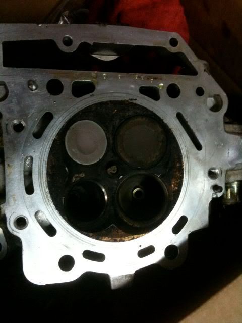 DebsRotaxmotor-01.jpg
