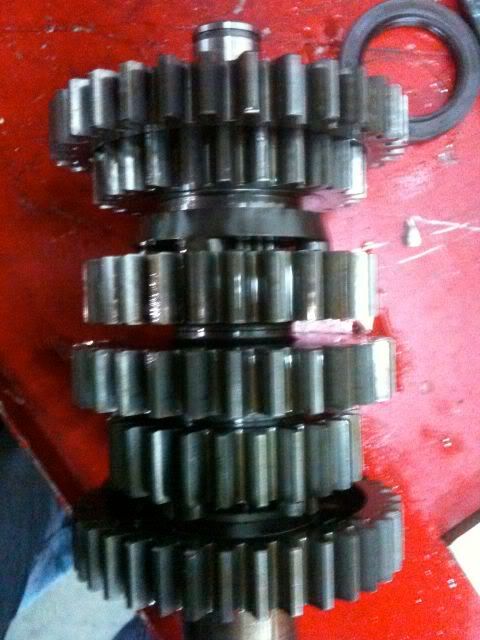 DebsRotaxmotor-10.jpg