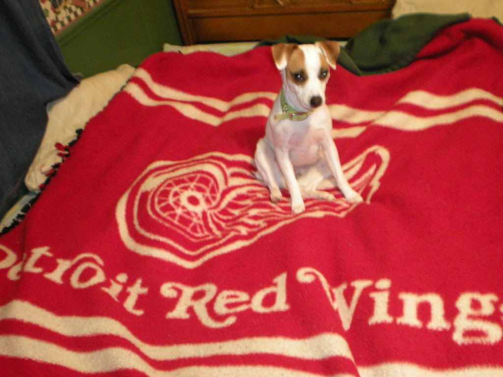 DSCN0072.jpg