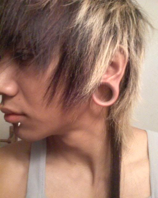 VWVortex.com - Ear Stretching / Gauging.....