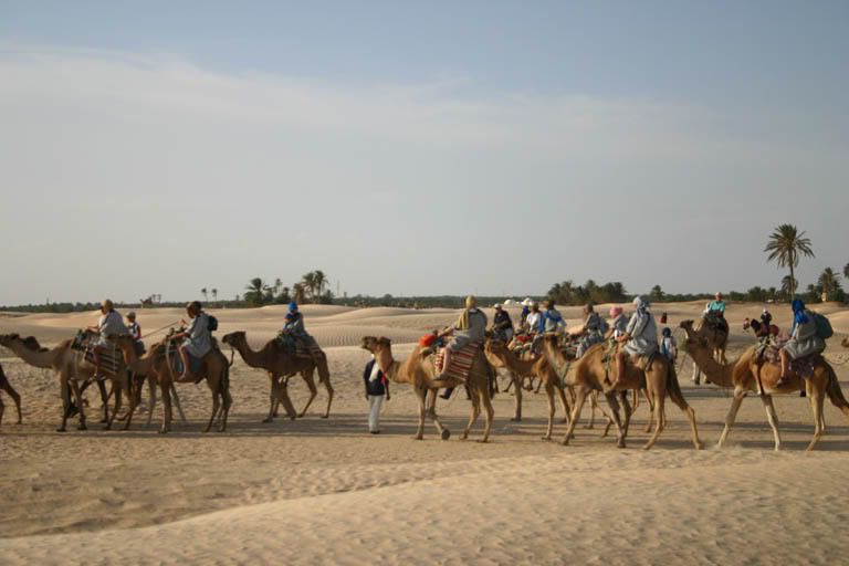 sahara.jpg