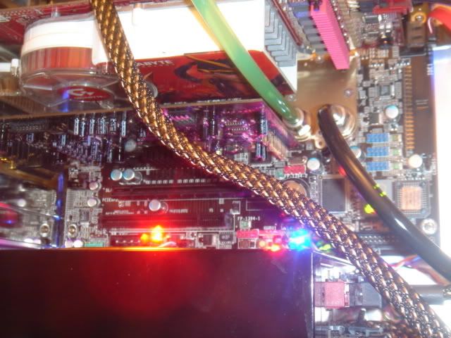 DSC02399.jpg