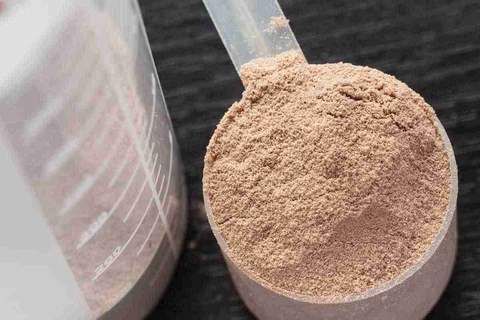 evosport 100% whey protein powder ingredients