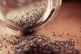 chia seed diet