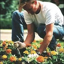 gardening chores