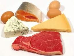 high protein vs high carbohydrate diet