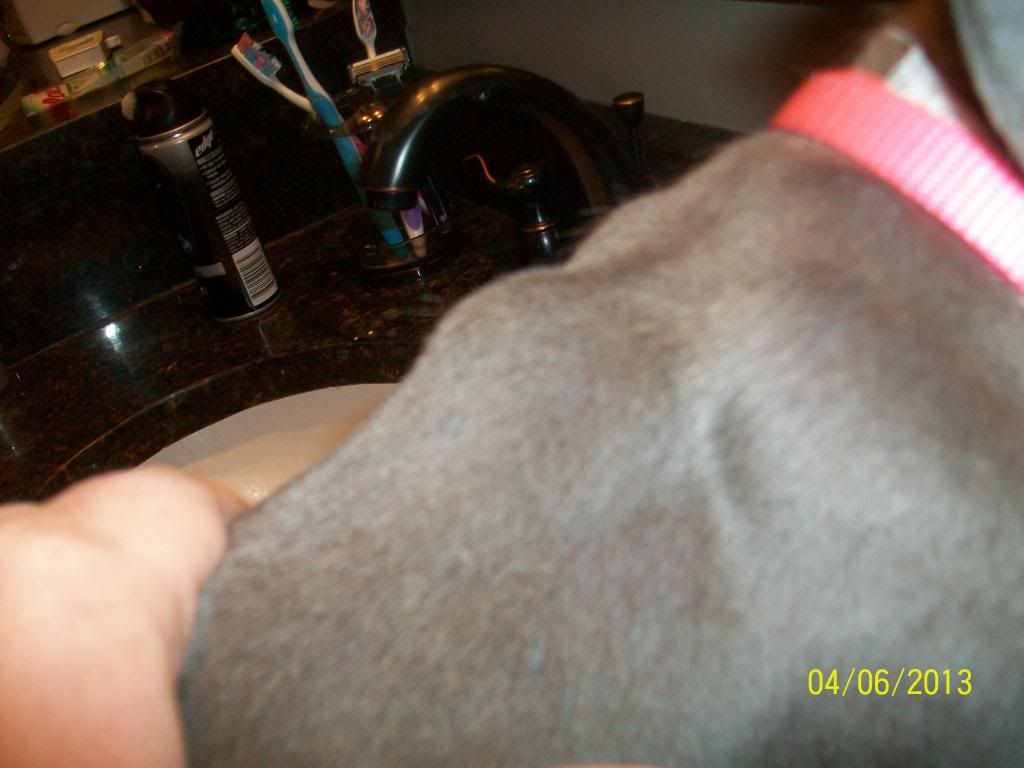 Lump After Vaccination | Pit Bull Chat Forum