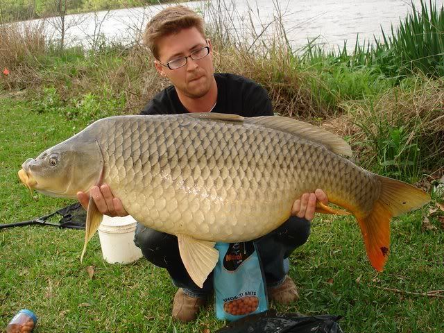 big carp pic