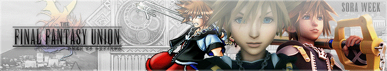 Kingdom Hearts: Destiny of Darkness banner