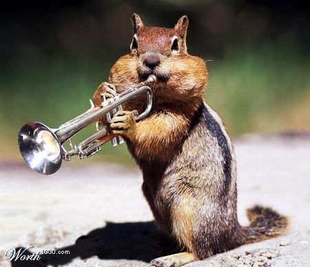 ardilla-trompetera.jpg