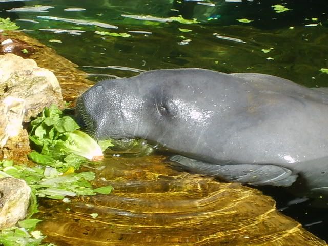 28-02-2007-122.jpg