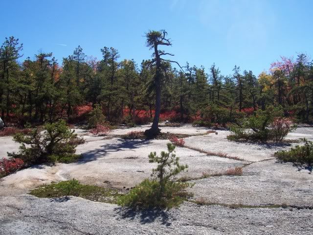  photo Minnewaska011.jpg