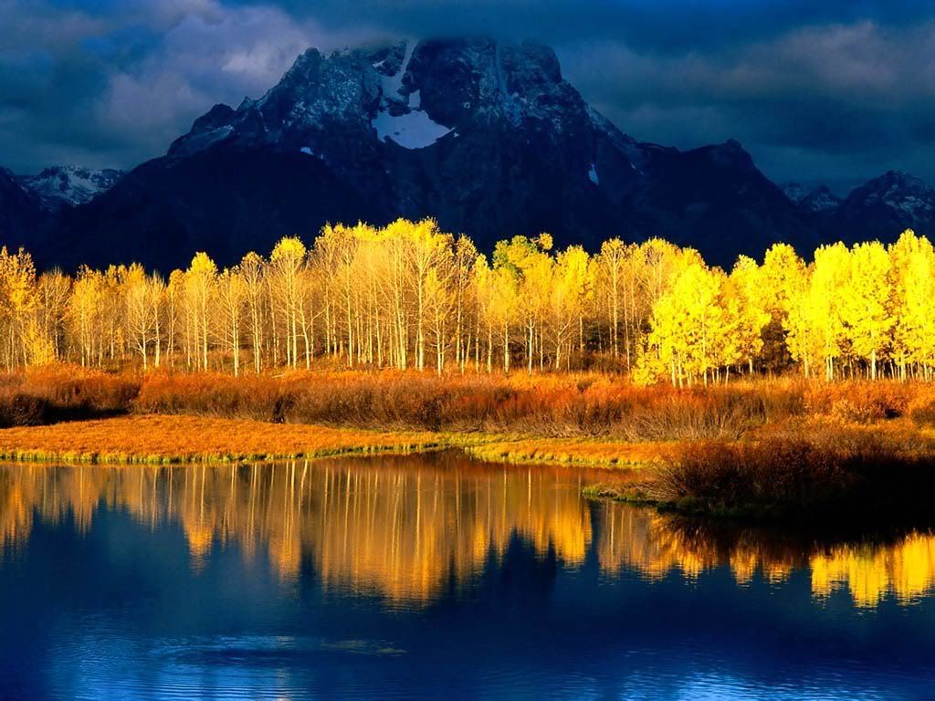 160c34f2f9a967b213858bcb34b8ff96_fu.jpg