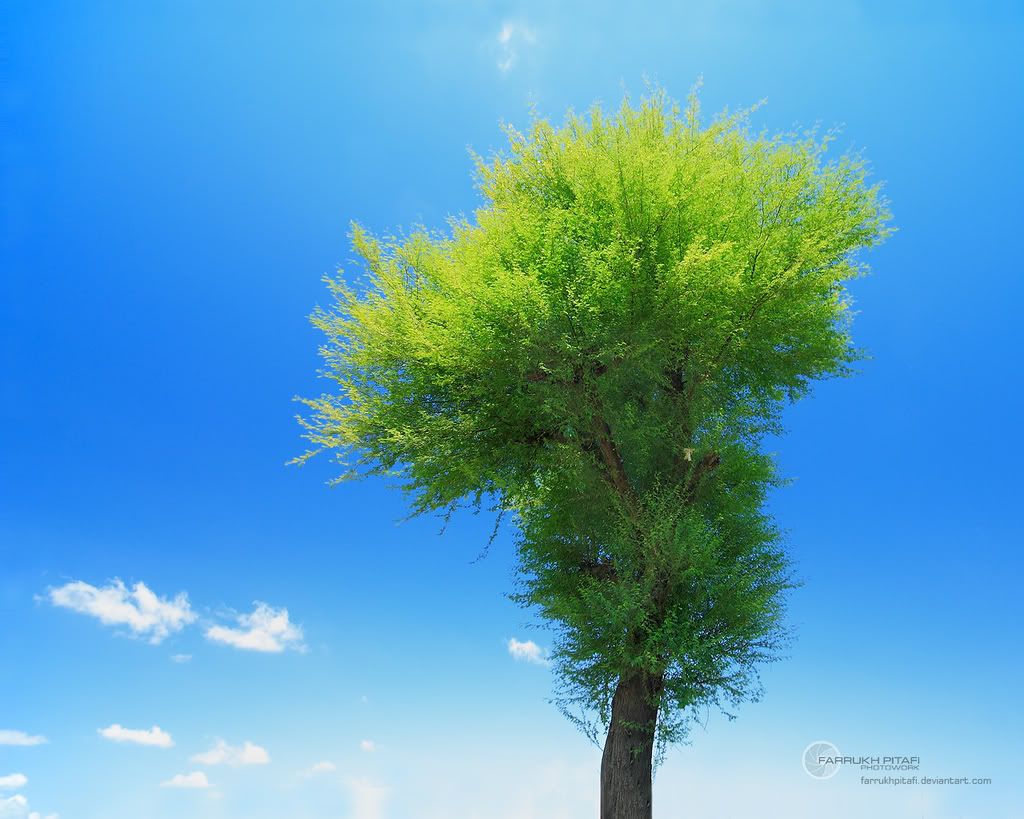 Radiant_Sky_by_farrukhpitafi.jpg