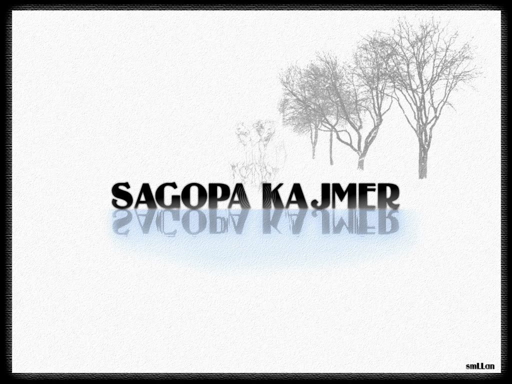 Sagopa_Kajmer_no.jpg