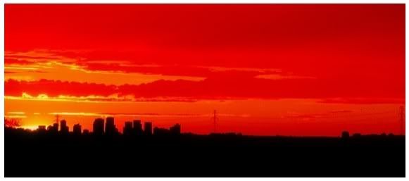 Skyline_.jpg