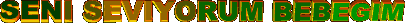 er7cz.gif