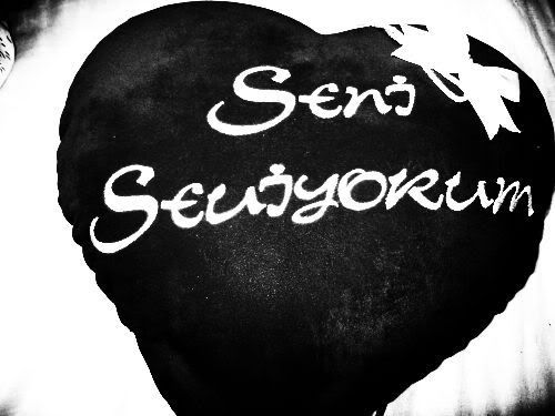 seniseviyorum6.jpg