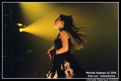 Amy_Lee___Evanescence.jpg