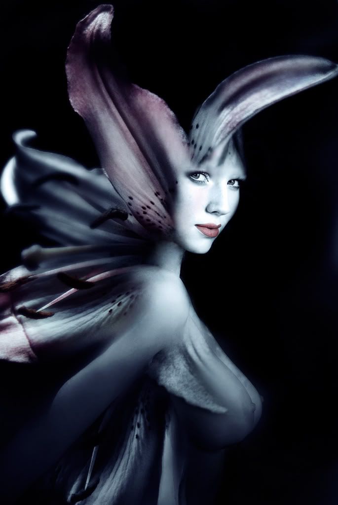 ff68baf8c8176a8f849452d9a567de19_fu.jpg