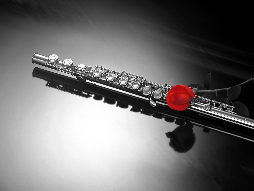 red_point_in_a_grey_life_03.jpg